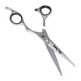 Alan Truman AT-04 MS Ball-bearing 5.5 inches Silver Hair Cutting Scissors - Silver