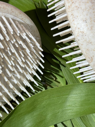 Mini Knot No More Detangler - Eco Brush