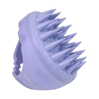 Alan Truman Wash & Detangle - 2 Step Hair Care Combo - Purple